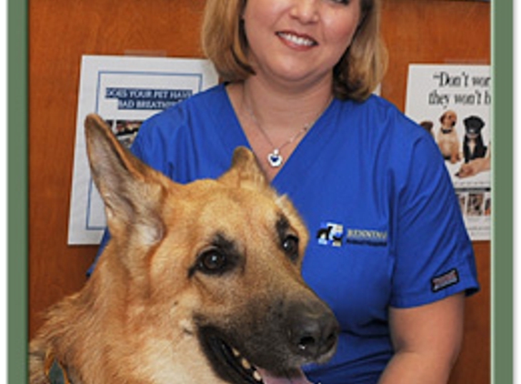 Benning Animal Hospital - Columbus, GA