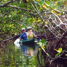 Blue Planet Kayak