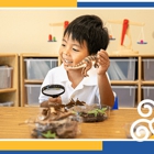 Tinity Spiral School