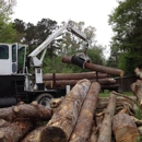 Babe's Tree Service - Stump Removal & Grinding