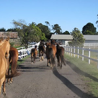 Darkes Forest Riding Ranch - Darkes Forest, NSW