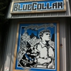 Bluecollar Working Dog gallery