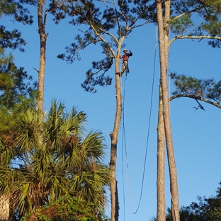 Odom's Beaches Tree Service - Jacksonville, FL