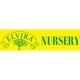 Elvira Nursery