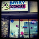 Berry Good Frozen Yogurt - Yogurt