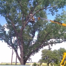 Moore's Tree Service - Tree Service