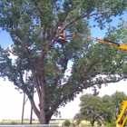 Moore's Tree Service