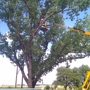 Moore's Tree Service