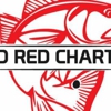Mad Red Fishing Charters of Tampa Bay gallery