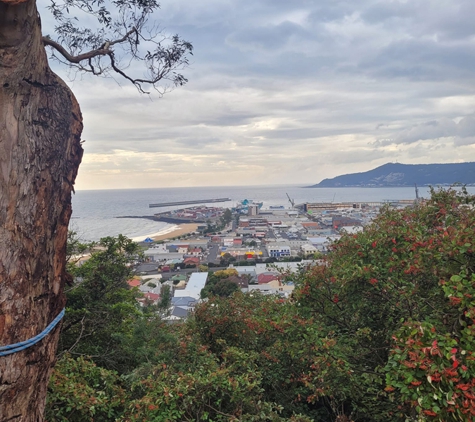E&T Tree Services And Stump Grinding - Penguin, TAS