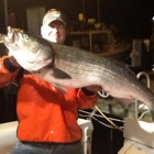 Four C's Montauk Fishing Charter Boat