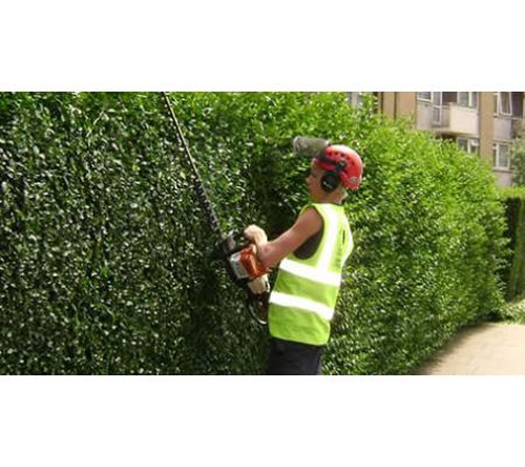 Steve Cairns Tree Service