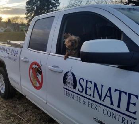 Senate Termite & Pest Control - Gaithersburg, MD