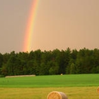 Mile Creek Hay