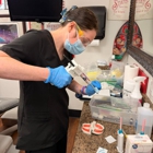 Phoenix Dental Assistant School - Mesa