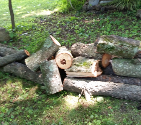 Carolina Tree Service - Burlington, NC. Wood can be cut to length for firewood