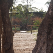 Gallery Image Number 7