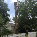 Lewis Tree Service - Tree Service