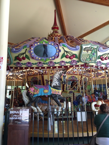 Carousel Gallery #41