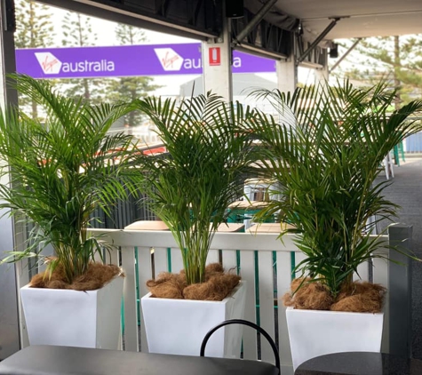 Jindalee Indoor Plant Service - Edgeworth, NSW