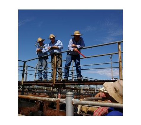 Halcroft and Bennett Pty Ltd - Coonamble, NSW