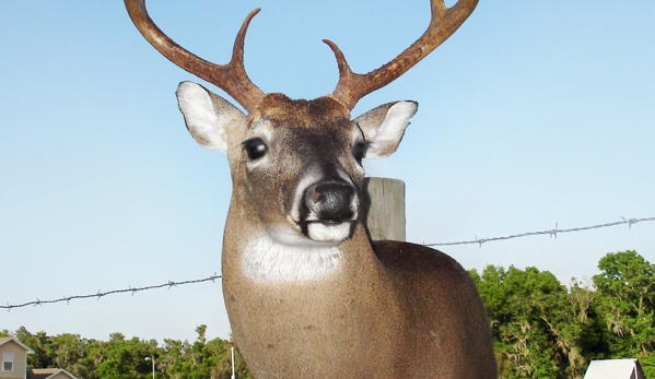 JC Taxidermy - Lithia, FL