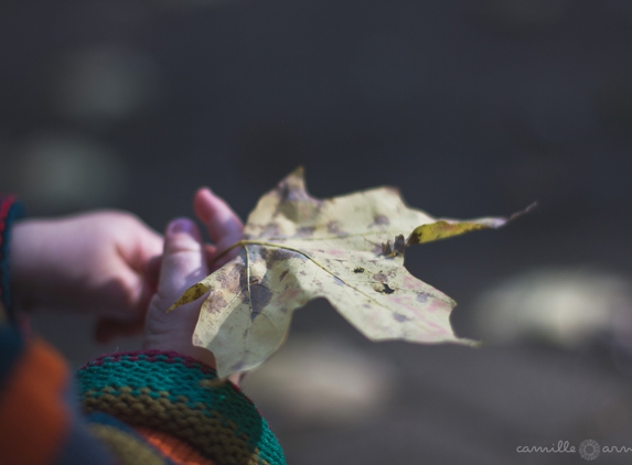 Camille Arner Photography - Brooklyn, NY