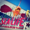 SEA LIFE Carlsbad Aquarium gallery