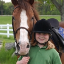 Meadow View Equestrian Center - Stables