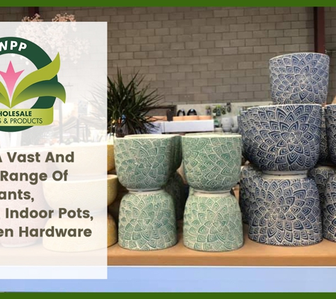 Wholesale Plants & Products Pty Ltd - Dry Creek, SA. We Offer A Vast And Extensive Range Of Quality Plants, Fertilizers, Indoor Pots, And Garden Hardware