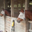 Thompson Park Stables - Horse Stables