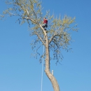 Griffin Tree Service - Tree Service