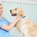 Village Veterinary Clinic SC - Veterinary Clinics & Hospitals