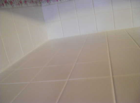The Grout Guy - Strawberry Plains, TN