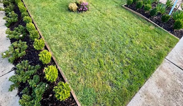 Local Yard Master
