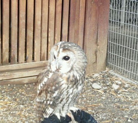 Wildlife Learning Center - Sylmar, CA