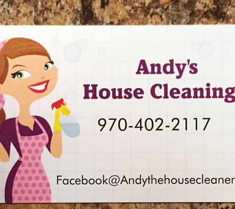 Andy the House Cleaner - Greeley, CO