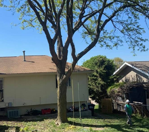 Cisneros Tree Service - Omaha, NE