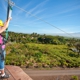 Maui Zipline Company