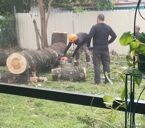 Big Ron's Tree Service LLC - Miami, FL