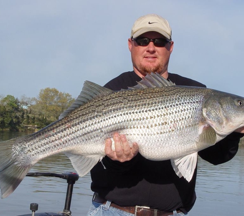 PointRunner's Striper Guide Service Smith Mountain Lake Va - Moneta, VA. PointRunner's Smith Mountain Lake Striper Fishing