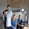 Cincinnati Hills Animal Clinic gallery