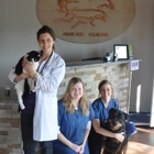 Cincinnati Hills Animal Clinic