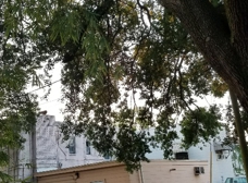 Gallery Image Number 5