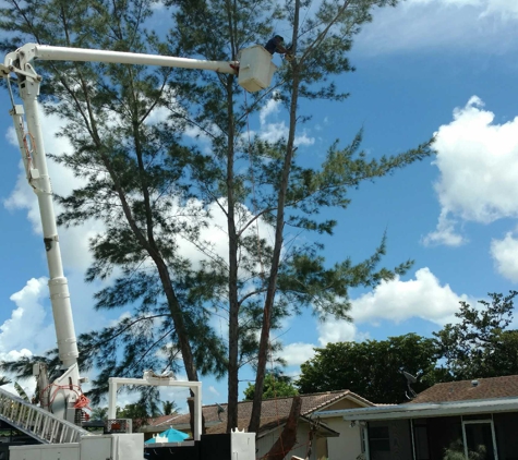 Top Notch Tree Services Inc. - Pompano Beach, FL