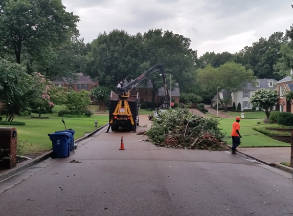 Chuck Holloway's Tree Care LLC - Drummonds, TN