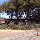 Southwest Tree Service - Tree Service