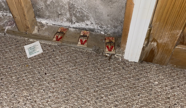 Kapura General Contractors, Inc. - Plainville, CT. After turning heat on ruined newly done basement/inviting little visitors /had never seen this amount of mice in my entire life and I am 67