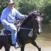 Blake Whiston Horsemanship ~ Blake's Equestrian Sales and Services gallery