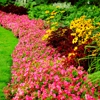 GrowPro Landscaping & Maintenance gallery